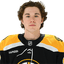 Fraser Minten