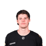 Lukas Reichel